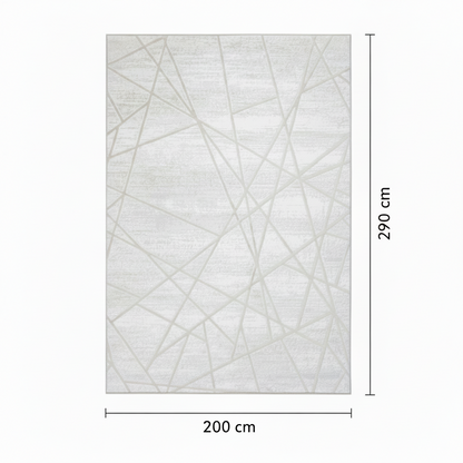 200 x 290 cm